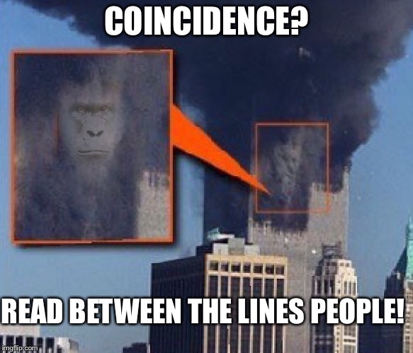 harambe bush 9/11 towers | COINCIDENCE? READ BETWEEN THE LINES PEOPLE! | image tagged in harambe bush 9/11 towers | made w/ Imgflip meme maker