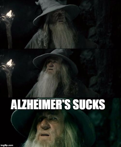 Confused Gandalf Meme | ALZHEIMER'S SUCKS | image tagged in memes,confused gandalf | made w/ Imgflip meme maker