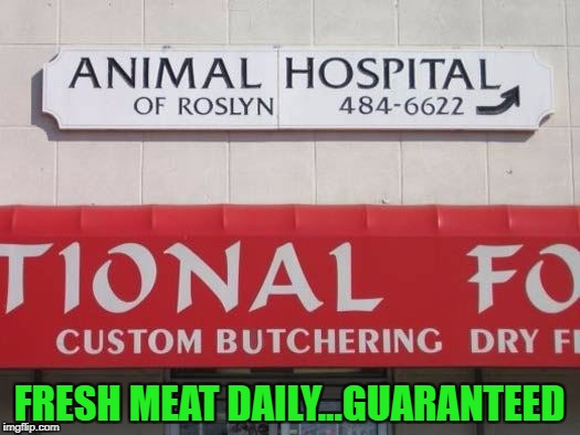 Free butchering with euthanasia! | FRESH MEAT DAILY...GUARANTEED | image tagged in funny signs,memes,animals,animal hospital,butcher shop,funny | made w/ Imgflip meme maker