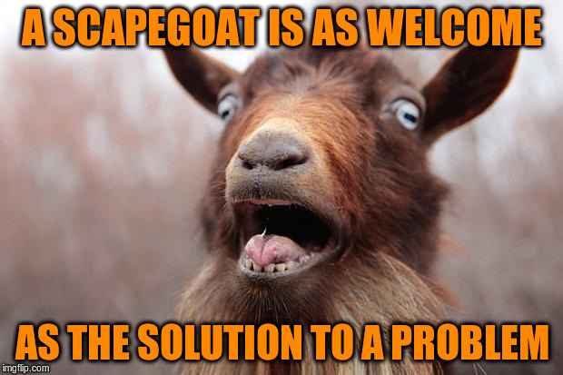 A SCAPEGOAT IS AS WELCOME AS THE SOLUTION TO A PROBLEM | made w/ Imgflip meme maker