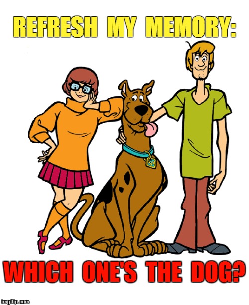 REFRESH  MY  MEMORY: WHICH  ONE'S  THE  DOG? | made w/ Imgflip meme maker