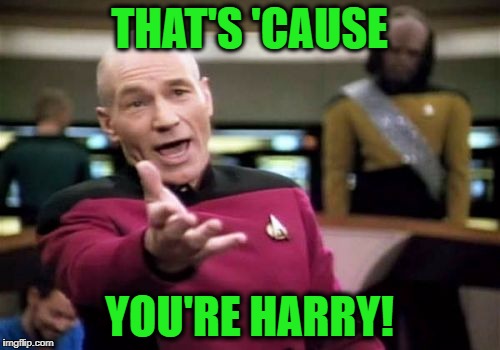 Picard Wtf Meme | THAT'S 'CAUSE YOU'RE HARRY! | image tagged in memes,picard wtf | made w/ Imgflip meme maker