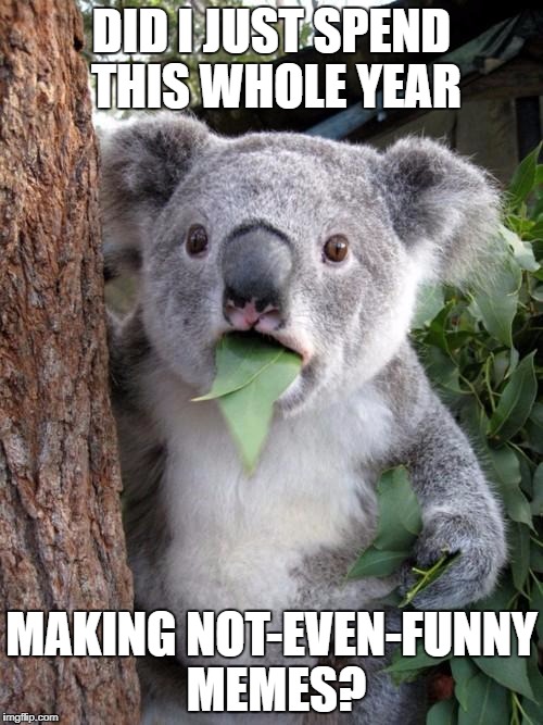 Surprised Koala | DID I JUST SPEND THIS WHOLE YEAR; MAKING NOT-EVEN-FUNNY MEMES? | image tagged in memes,surprised koala | made w/ Imgflip meme maker