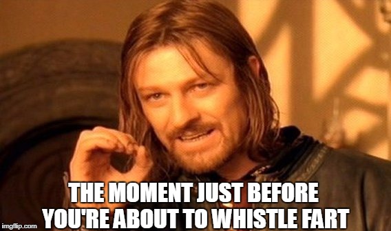 One Does Not Simply | THE MOMENT JUST BEFORE YOU'RE ABOUT TO WHISTLE FART | image tagged in memes,one does not simply | made w/ Imgflip meme maker
