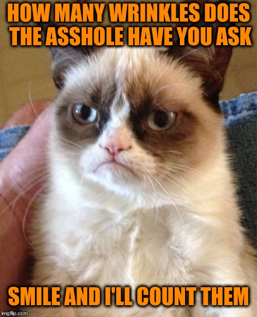 Grumpy Cat Meme | HOW MANY WRINKLES DOES THE ASSHOLE HAVE YOU ASK; SMILE AND I'LL COUNT THEM | image tagged in memes,grumpy cat | made w/ Imgflip meme maker