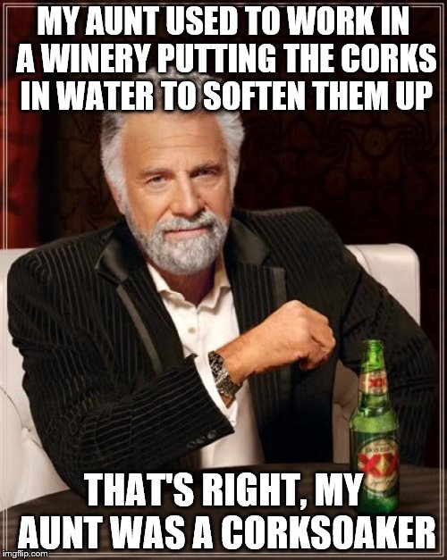 Embarassing family histories part 1 | MY AUNT USED TO WORK IN A WINERY PUTTING THE CORKS IN WATER TO SOFTEN THEM UP; THAT'S RIGHT, MY AUNT WAS A CORKSOAKER | image tagged in memes,the most interesting man in the world | made w/ Imgflip meme maker