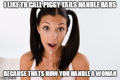 Did you do something new with your hair? | I LIKE TO CALL PIGGY TAILS HANDLE BARS; BECAUSE THATS HOW YOU HANDLE A WOMAN | image tagged in pig tails bl4h,memes | made w/ Imgflip meme maker