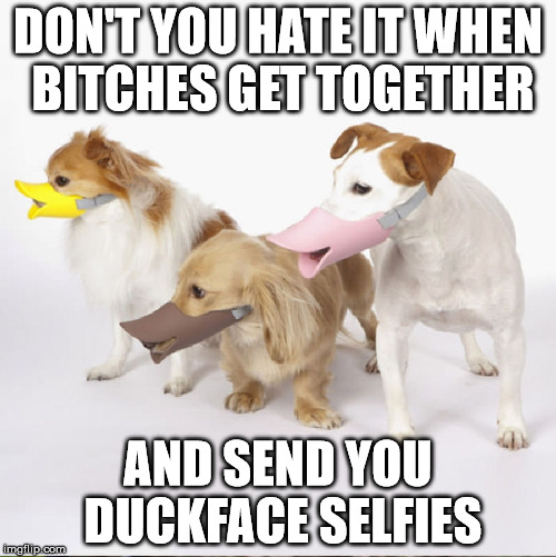 Dunno why this is consider NSFW. Bitch is the proper term for a female dog. | DON'T YOU HATE IT WHEN BITCHES GET TOGETHER; AND SEND YOU DUCKFACE SELFIES | image tagged in bitches,duckface,selfies | made w/ Imgflip meme maker