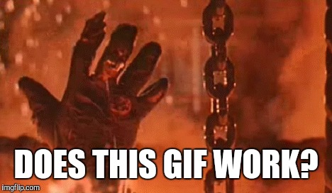 DOES THIS GIF WORK? | made w/ Imgflip meme maker