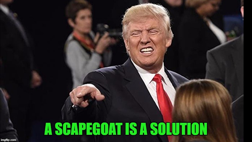 A SCAPEGOAT IS A SOLUTION | made w/ Imgflip meme maker