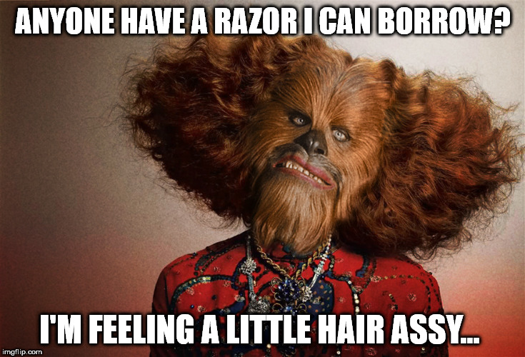 ANYONE HAVE A RAZOR I CAN BORROW? I'M FEELING A LITTLE HAIR ASSY... | image tagged in chewie | made w/ Imgflip meme maker