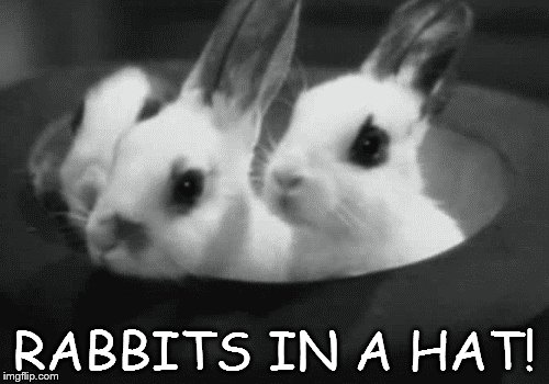 Hat | RABBITS IN A HAT! | image tagged in memes | made w/ Imgflip meme maker