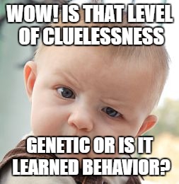 Skeptical Baby Meme | WOW! IS THAT LEVEL OF CLUELESSNESS; GENETIC OR IS IT LEARNED BEHAVIOR? | image tagged in memes,skeptical baby | made w/ Imgflip meme maker