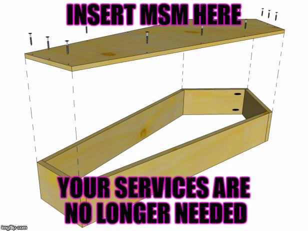 INSERT HERE | INSERT MSM HERE; YOUR SERVICES ARE NO LONGER NEEDED | image tagged in msm | made w/ Imgflip meme maker