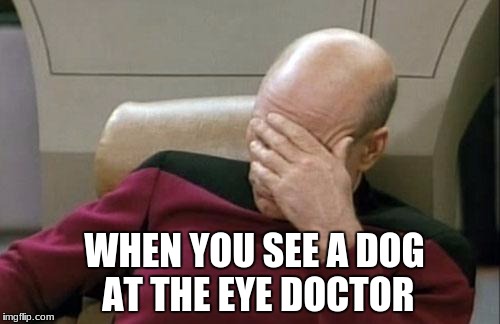 Captain Picard Facepalm | WHEN YOU SEE A DOG AT THE EYE DOCTOR | image tagged in memes,captain picard facepalm | made w/ Imgflip meme maker