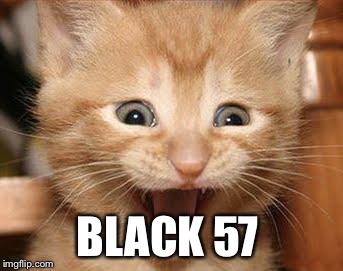 Gambling Kitty  | BLACK 57 | image tagged in memes,excited cat,cute | made w/ Imgflip meme maker