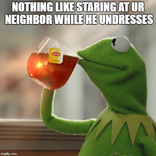 But That's None Of My Business Meme | NOTHING LIKE STARING AT UR NEIGHBOR WHILE HE UNDRESSES | image tagged in memes,but thats none of my business,kermit the frog | made w/ Imgflip meme maker