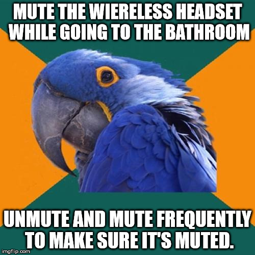 Paranoid Parrot Meme | MUTE THE WIERELESS HEADSET WHILE GOING TO THE BATHROOM; UNMUTE AND MUTE FREQUENTLY TO MAKE SURE IT'S MUTED. | image tagged in memes,paranoid parrot | made w/ Imgflip meme maker