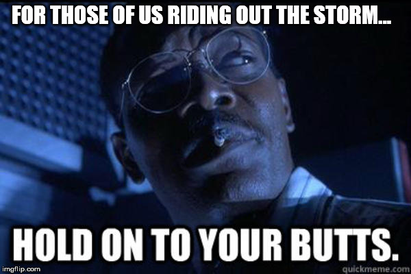Hold onto your butts | FOR THOSE OF US RIDING OUT THE STORM... | image tagged in hold onto your butts | made w/ Imgflip meme maker