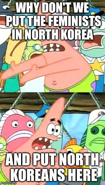 Put It Somewhere Else Patrick Meme | WHY DON'T WE PUT THE FEMINISTS IN NORTH KOREA; AND PUT NORTH KOREANS HERE | image tagged in memes,put it somewhere else patrick | made w/ Imgflip meme maker