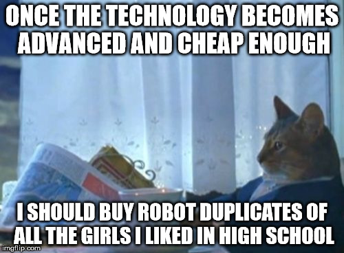 I Should Buy A Boat Cat Meme | ONCE THE TECHNOLOGY BECOMES ADVANCED AND CHEAP ENOUGH; I SHOULD BUY ROBOT DUPLICATES OF ALL THE GIRLS I LIKED IN HIGH SCHOOL | image tagged in memes,i should buy a boat cat | made w/ Imgflip meme maker