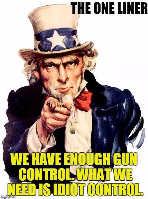 Uncle Sam Meme | THE ONE LINER; WE HAVE ENOUGH GUN CONTROL. WHAT WE NEED IS IDIOT CONTROL. | image tagged in memes,uncle sam | made w/ Imgflip meme maker