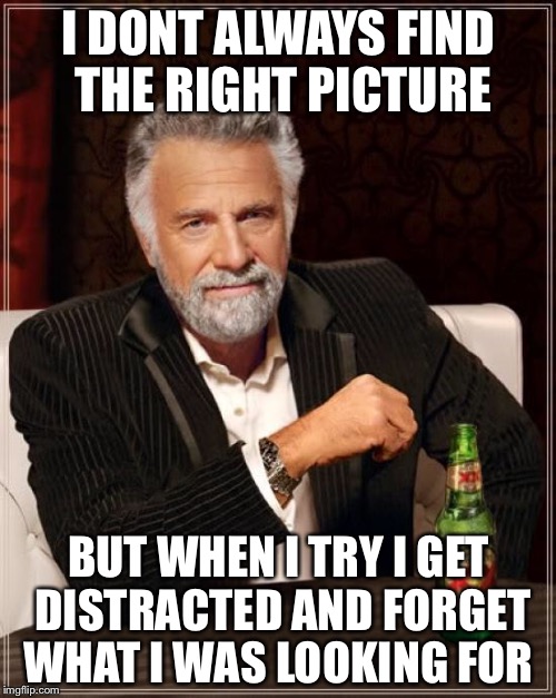 The Most Interesting Man In The World Meme | I DONT ALWAYS FIND THE RIGHT PICTURE BUT WHEN I TRY I GET DISTRACTED AND FORGET WHAT I WAS LOOKING FOR | image tagged in memes,the most interesting man in the world | made w/ Imgflip meme maker