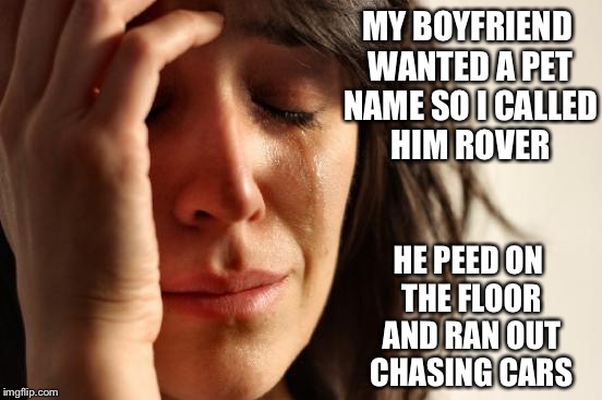 First World Problems Meme | MY BOYFRIEND WANTED A PET NAME SO I CALLED HIM ROVER; HE PEED ON THE FLOOR AND RAN OUT CHASING CARS | image tagged in memes,first world problems | made w/ Imgflip meme maker