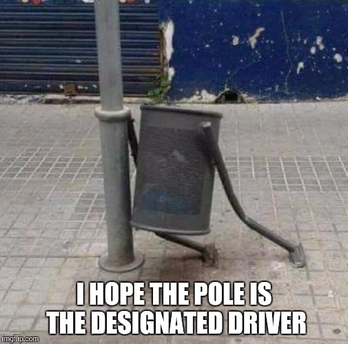 I HOPE THE POLE IS THE DESIGNATED DRIVER | image tagged in drunk bin | made w/ Imgflip meme maker