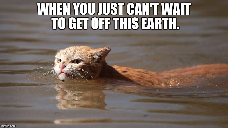When you just can't | WHEN YOU JUST CAN'T WAIT TO GET OFF THIS EARTH. | image tagged in grumpy cat | made w/ Imgflip meme maker