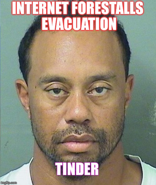 Tiger Woods | INTERNET FORESTALLS EVACUATION; TINDER | image tagged in tiger woods | made w/ Imgflip meme maker