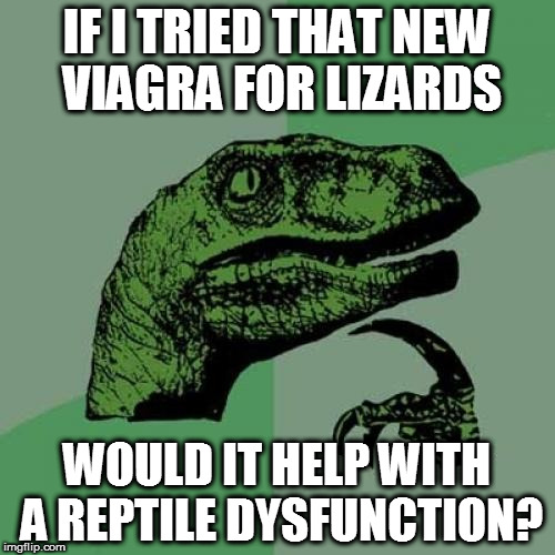 Viagra for Lizards? | IF I TRIED THAT NEW VIAGRA FOR LIZARDS; WOULD IT HELP WITH A REPTILE DYSFUNCTION? | image tagged in memes,philosoraptor,viagra,homepage | made w/ Imgflip meme maker