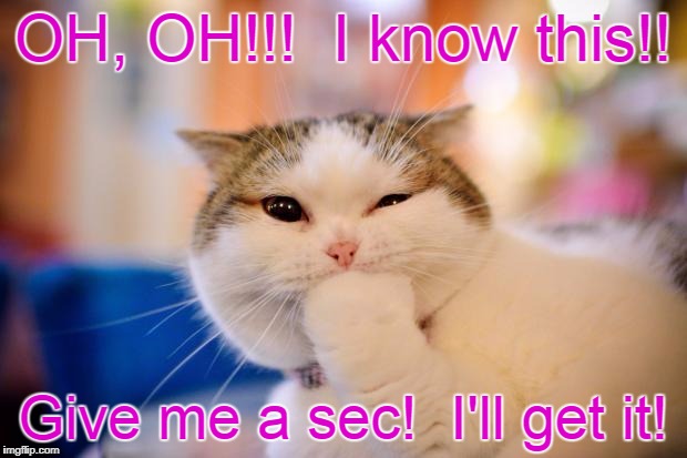 thinking cat | OH, OH!!!  I know this!! Give me a sec!  I'll get it! | image tagged in thinking cat | made w/ Imgflip meme maker