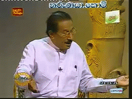 1vlfp.gif
