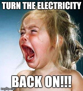 Turn on the electricity | TURN THE ELECTRICITY; BACK ON!!! | image tagged in crying girl | made w/ Imgflip meme maker
