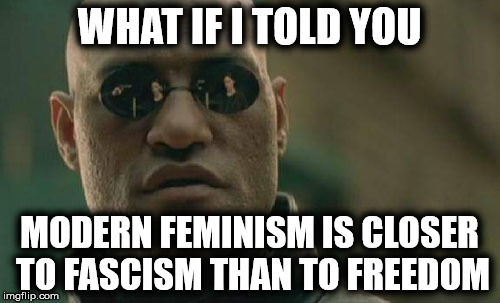Matrix Morpheus Meme | WHAT IF I TOLD YOU MODERN FEMINISM IS CLOSER TO FASCISM THAN TO FREEDOM | image tagged in memes,matrix morpheus | made w/ Imgflip meme maker