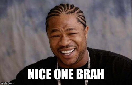 Yo Dawg Heard You Meme | NICE ONE BRAH | image tagged in memes,yo dawg heard you | made w/ Imgflip meme maker