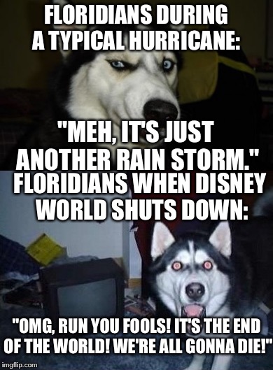 Floridians... | FLORIDIANS DURING A TYPICAL HURRICANE:; "MEH, IT'S JUST ANOTHER RAIN STORM."; FLORIDIANS WHEN DISNEY WORLD SHUTS DOWN:; "OMG, RUN YOU FOOLS! IT'S THE END OF THE WORLD! WE'RE ALL GONNA DIE!" | image tagged in florida,meanwhile in florida,hurricane irma,memes | made w/ Imgflip meme maker