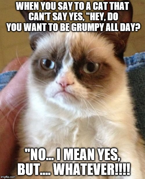 Grumpy Cat Meme | WHEN YOU SAY TO A CAT THAT CAN'T SAY YES, "HEY, DO YOU WANT TO BE GRUMPY ALL DAY? "NO... I MEAN YES, BUT.... WHATEVER!!!! | image tagged in memes,grumpy cat | made w/ Imgflip meme maker