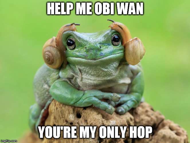 Princess Frog | HELP ME OBI WAN; YOU'RE MY ONLY HOP | image tagged in princess leia,obi wan kenobi,frog | made w/ Imgflip meme maker