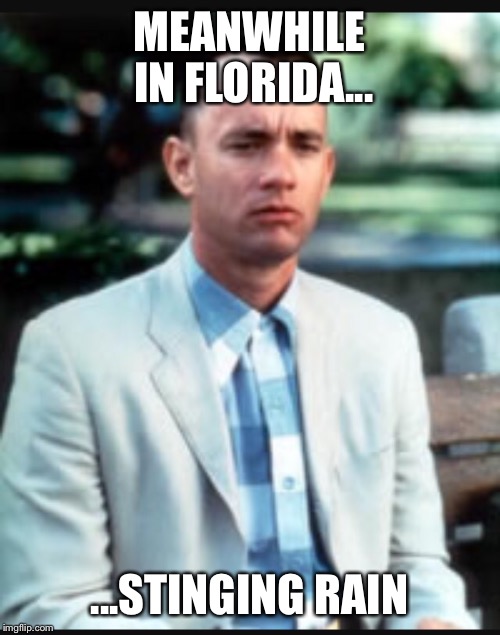 Stinging rain | MEANWHILE IN FLORIDA... ...STINGING RAIN | image tagged in hurricane irma,funny memes,memes,weather,climate change,meme | made w/ Imgflip meme maker