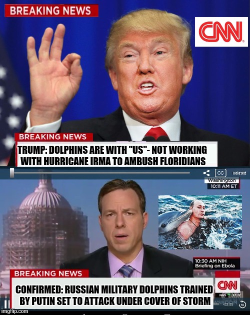 Dolphins, friend, or new foe? | TRUMP: DOLPHINS ARE WITH "US"- NOT WORKING WITH HURRICANE IRMA TO AMBUSH FLORIDIANS; CONFIRMED: RUSSIAN MILITARY DOLPHINS TRAINED BY PUTIN SET TO ATTACK UNDER COVER OF STORM | image tagged in cnn spins trump news,maga,dolphins,vladimir putin smiling,meanwhile in florida,donald trump approves | made w/ Imgflip meme maker