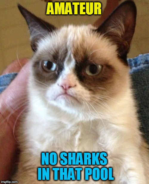 Grumpy Cat Meme | AMATEUR NO SHARKS IN THAT POOL | image tagged in memes,grumpy cat | made w/ Imgflip meme maker