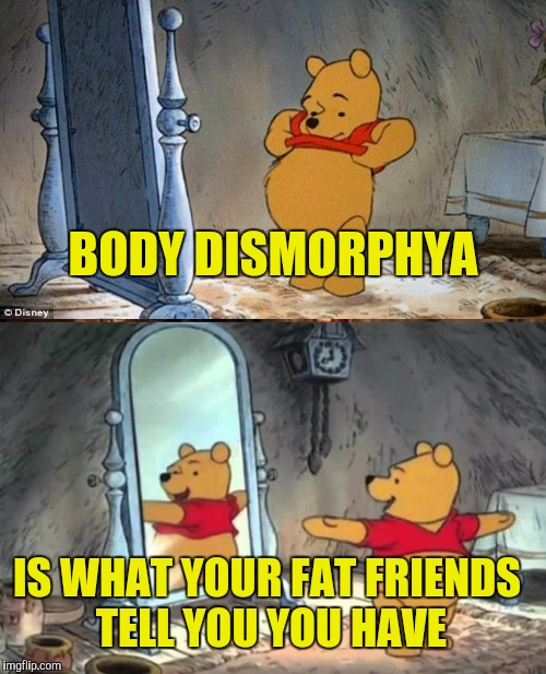 If everyone is fat no one is | BODY DISMORPHYA; IS WHAT YOUR FAT FRIENDS TELL YOU YOU HAVE | image tagged in pooh bear,dieting | made w/ Imgflip meme maker