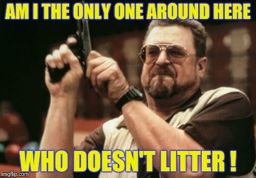 Walking around the streets near my new digs | AM I THE ONLY ONE AROUND HERE; WHO DOESN'T LITTER ! | image tagged in memes,am i the only one around here,littering,look at all these,butts | made w/ Imgflip meme maker