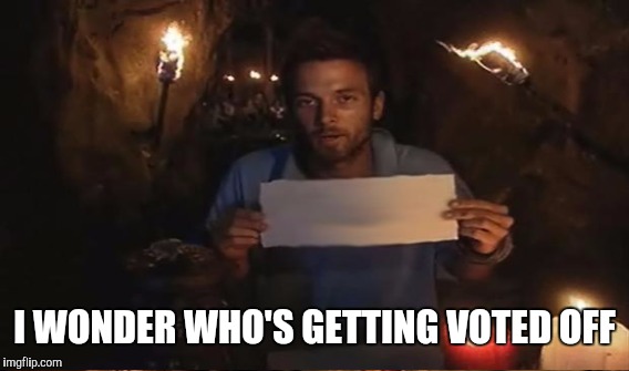 I WONDER WHO'S GETTING VOTED OFF | made w/ Imgflip meme maker