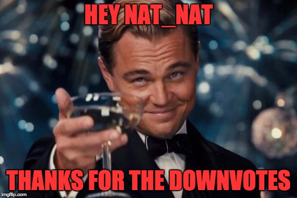 Leonardo Dicaprio Cheers Meme | HEY NAT_NAT; THANKS FOR THE DOWNVOTES | image tagged in memes,leonardo dicaprio cheers | made w/ Imgflip meme maker