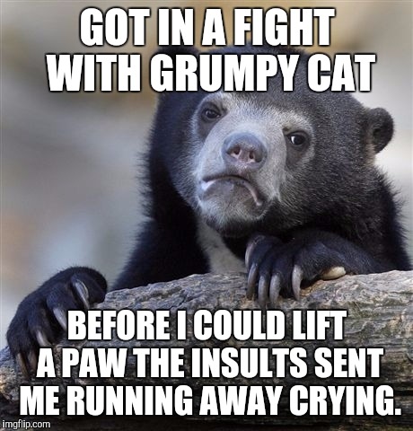 BEWARE THE GRUMP :D | GOT IN A FIGHT WITH GRUMPY CAT; BEFORE I COULD LIFT A PAW THE INSULTS SENT ME RUNNING AWAY CRYING. | image tagged in funny,confession bear,animals,cats,memes,grumpy cat | made w/ Imgflip meme maker