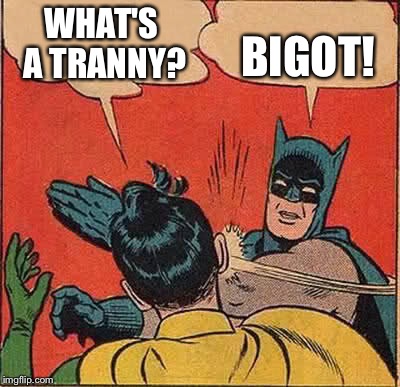 Batman Slapping Robin Meme | WHAT'S A TRANNY? BIGOT! | image tagged in memes,batman slapping robin | made w/ Imgflip meme maker