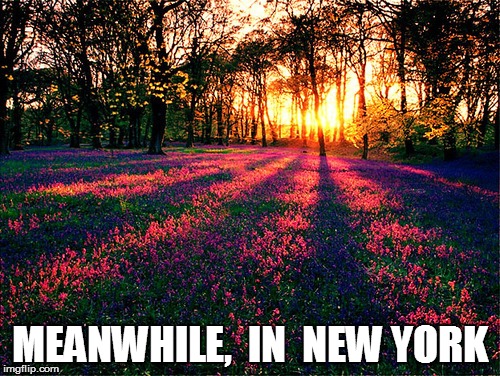 MEANWHILE,  IN  NEW YORK | made w/ Imgflip meme maker